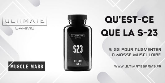 Qu'est-ce que S23 ?
