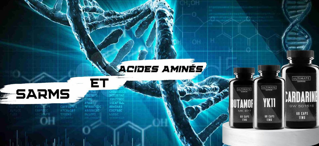 SARMs et acides aminés