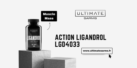 Mécanisme d'action de Ligandrol LGD4033