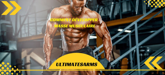 Comment développer sa masse musculaire
