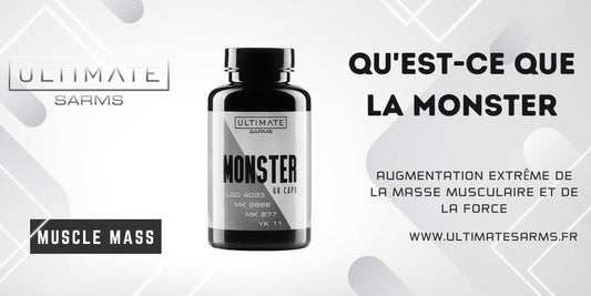 Qu'est-ce que Monster