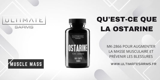 Qu'est-ce que Ostarine MK2866