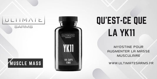 Qu'est-ce que YK11 (Myostatine) ?