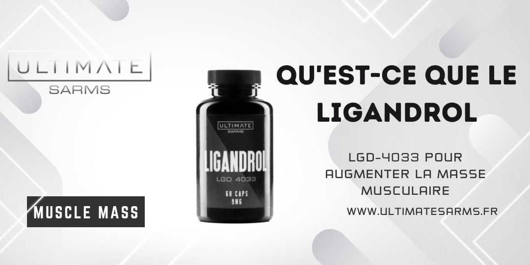 Qu'est-ce que Ligandrol LGD4033 ?