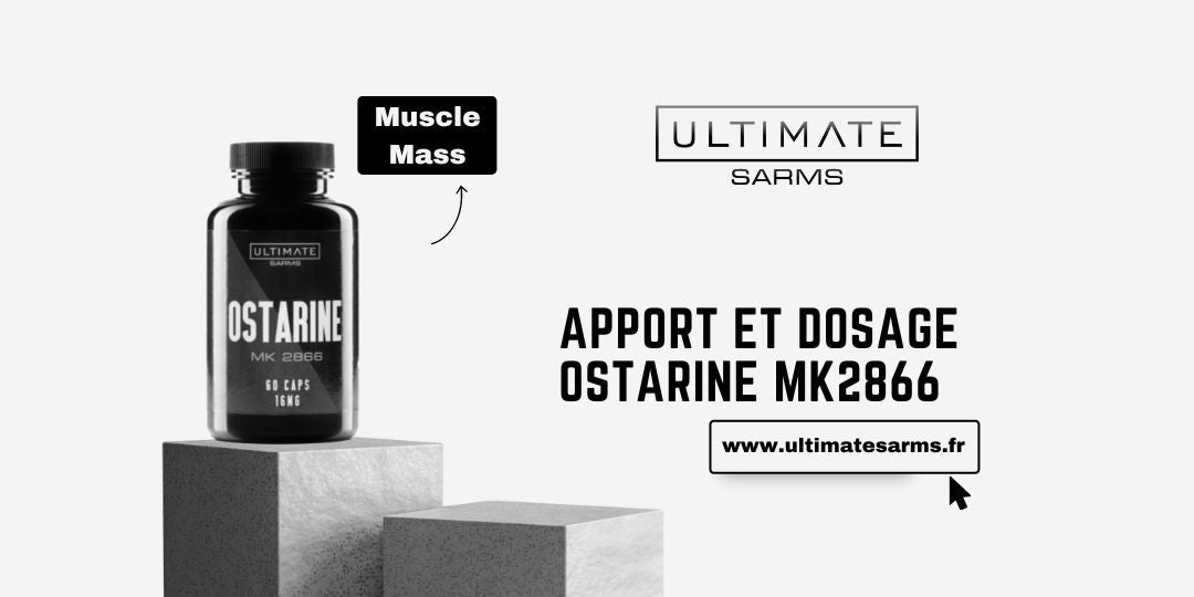 Dosage et apport de Ostarine MK2866